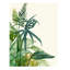 Tropix I Print by Sara Brown-26772559-26772561