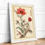 Carnation Study Botanical - Framed Print-1899488436-1899488445