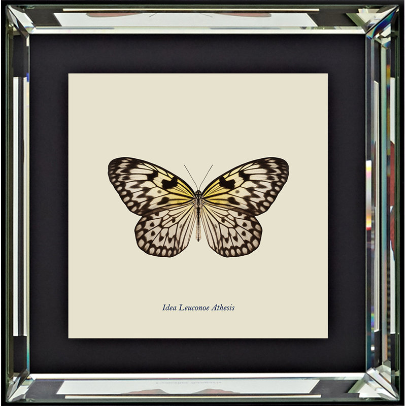 Single Picture Frame Print