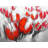 Red Tulips Print On Canvas