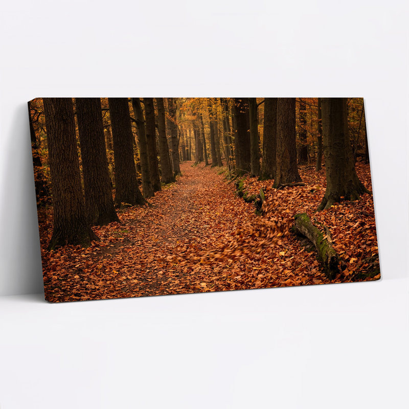 Tableau sur toile représentant un chemin forestier avec des troncs moussus et des feuilles d'oranger tombées