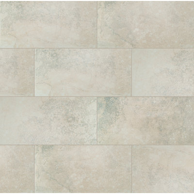 Carrelage de sol et de mur en porcelaine matte mat 12 po x 24 po Central