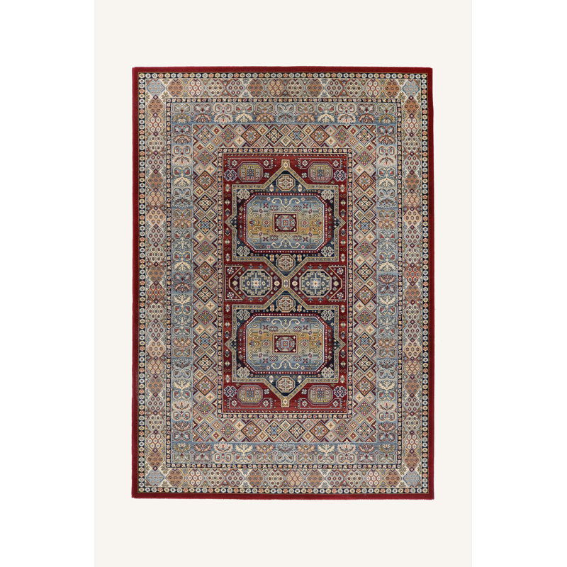 Ashanna Oriental Area Rug, Rectangle 160 x 230cm
