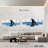 Shark Fin-1684636441