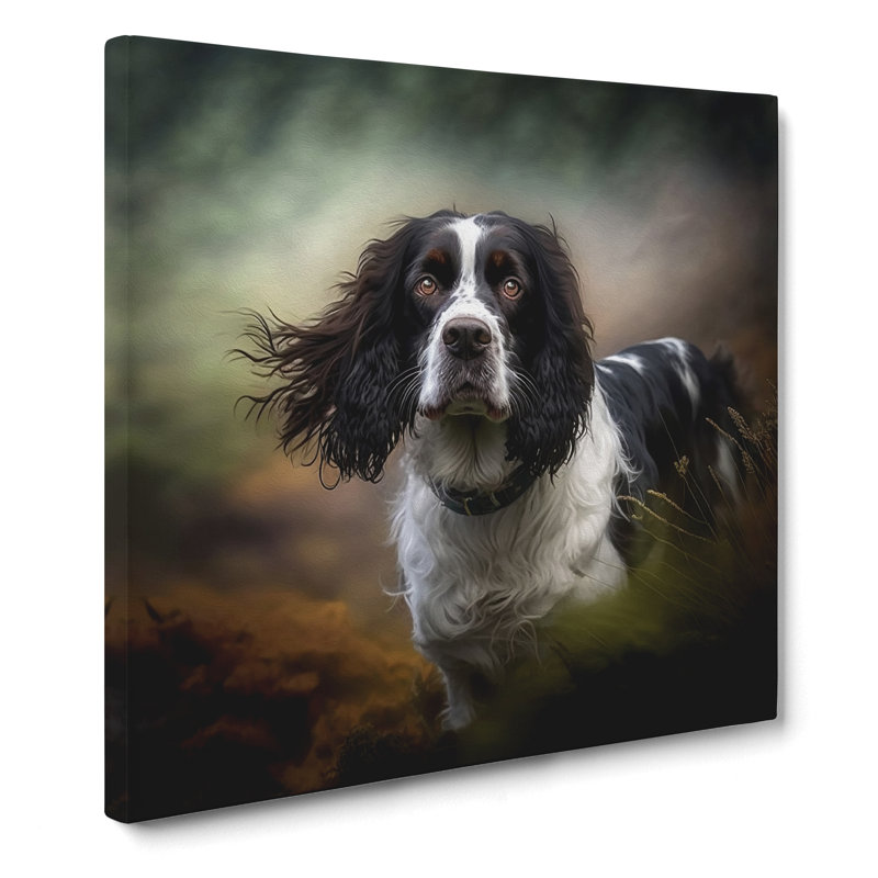 English Springer Spaniel Photograph No.1 - Wrapped Canvas, 50cm H x 50cm W x 3cm D
