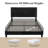 Aleiny Velvet Bed with Adjustable Upholstered Headboard-436444923-436444920