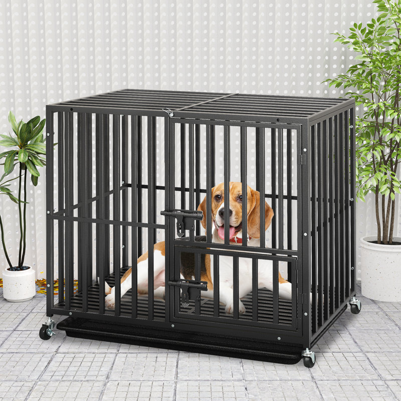 Caisse pour chien Ferndown, H 32 po x l 38 po x P 22,5 po