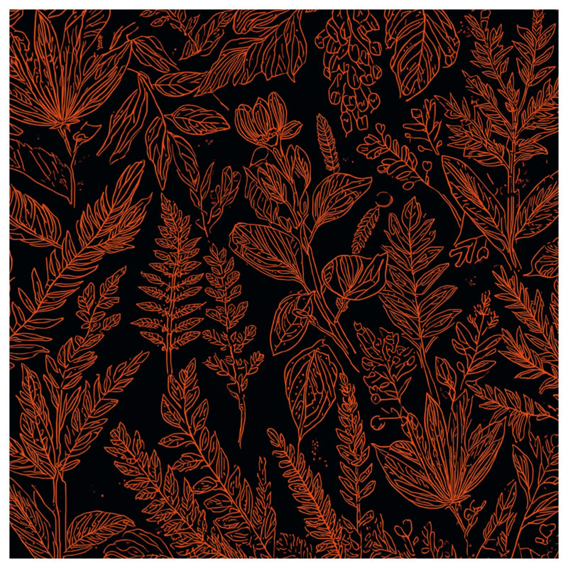 Tapis de bain Botanical Illustration, L 34 po x L 21 po