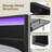 Deviana Metal Bed Frame with Headboard & Footboard and Charging Station, LED Light Included-838016789