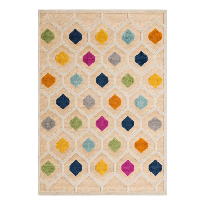 Noord Aruba Indoor/Outdoor Rug, Rectangle 6' x 9'