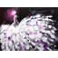 Purple Peacock Print On Canvas
