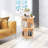 Debralyn 2- Tier 360° Rotating Bookshelf Bookcase Storage Shelf