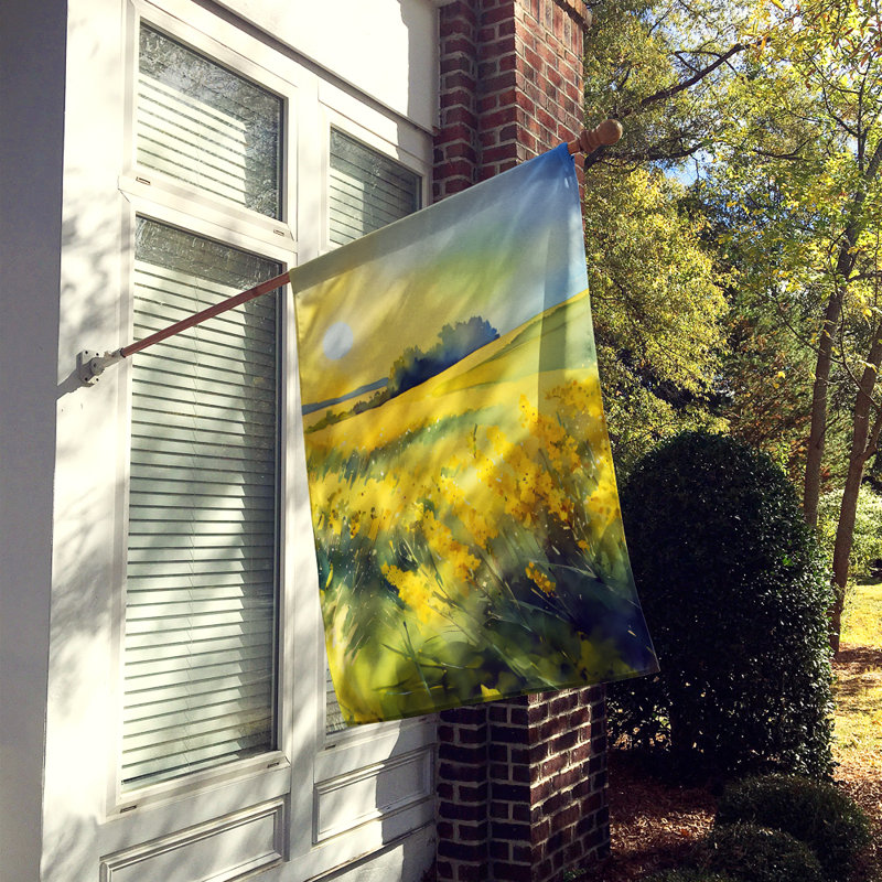 Double Sided 40'' H x 28'' W Polyester House Flag