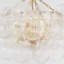 Talia 8 - Light Chandelier-51177770