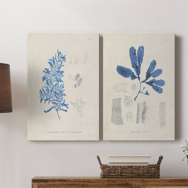 «Blue Marine Algae VI», toile tendue avec châssis de qualité supérieure, prête à être accrochée, H 12 po x l 16 po