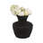 Red Barrel Studio® Cleo Large Black Omix Vase-1122358537