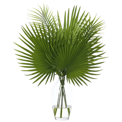 Fan Palm, Green, Glass Vase, 23wx16dx29h