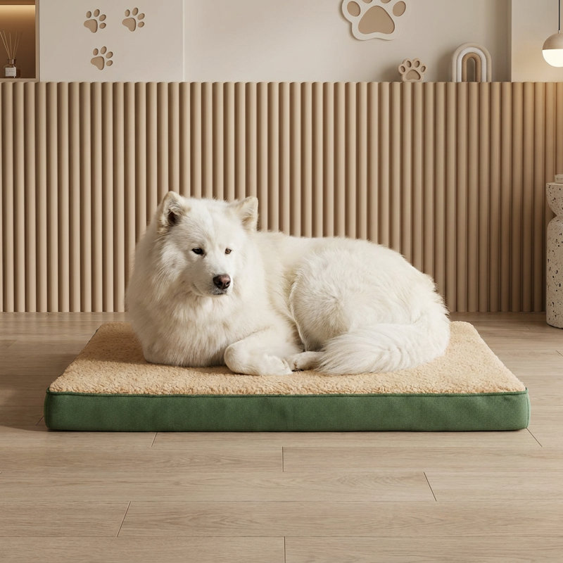 Lit pour chien Nestle, 39.4" W, Vert