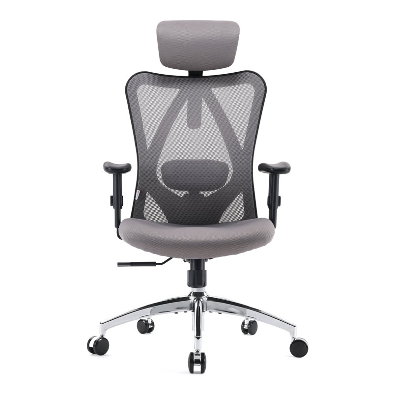 Ergonomic Mesh Office Chair with Adjustable Lumbar Support and Padded Armrests for 300lbs, Gray