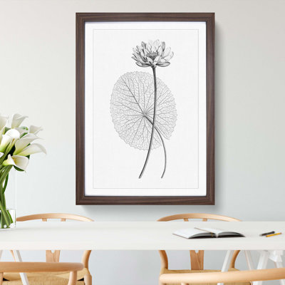 White Egyptian Lotus - Picture Frame Graphic Art Print