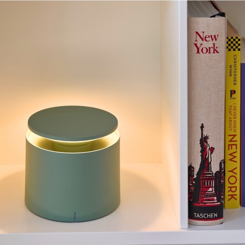 Pushup Pro Table Lamp, Sage