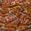 Ardmore Velvet Fabric-1122062743