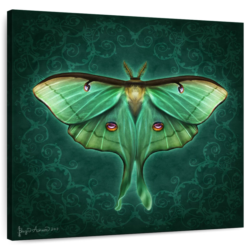 Bramp Steampunk Luna Moth II, H 10 po x l 10 po