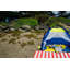 Tapis tatami Pacific Play Tents - Bleu-70117868