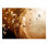 Glam Wallpaper Wall Mural - Golden Path