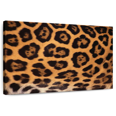 Crowle Jaguar Spots