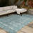 Machine Washable Indoor/Outdoor Chantille ACN2682 Floral Rug-2022475929-2022475927