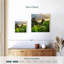 Alvord Borneo Rainforest-111881684