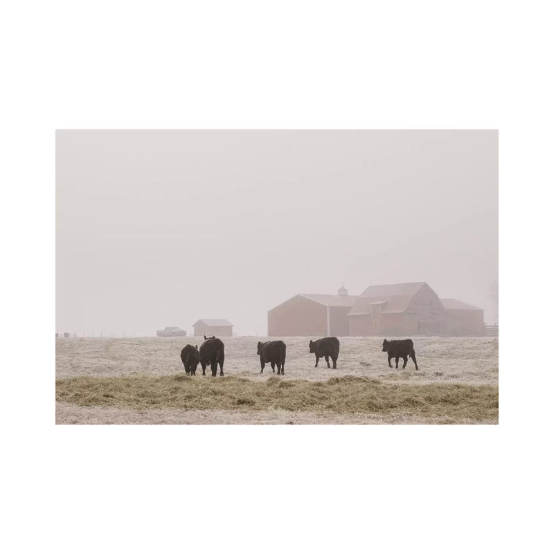 Farm Study IV by Adam Mead - Wrapped Canvas Print, 20.32cm H x 30.48cm W x 1.91cm D
