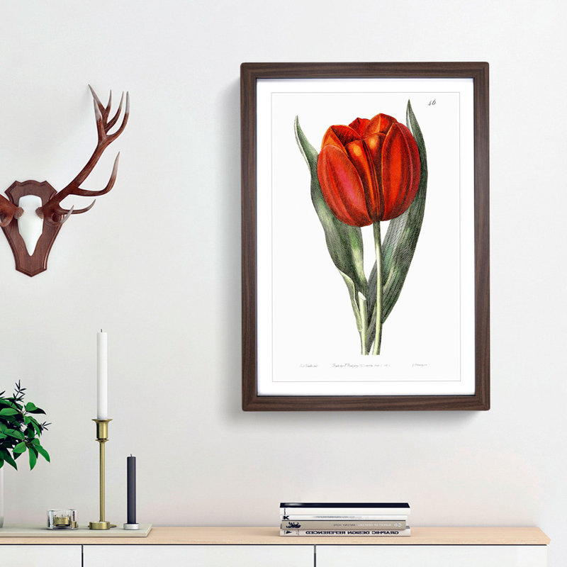Red Tulip - Picture Frame Painting Print, 36cm H x 27cm W x 2cm D, Walnut Framed