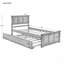 Lit plateforme avec lit gigogne simple, structure de taille simple