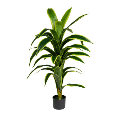 120cm Plant