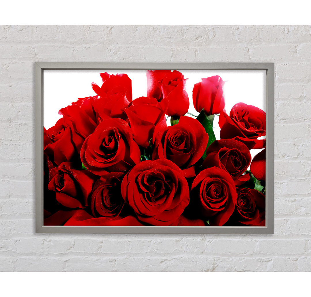 Bouquet Of Red Roses - Single Picture Frame Kunstdrucke auf Leinwand