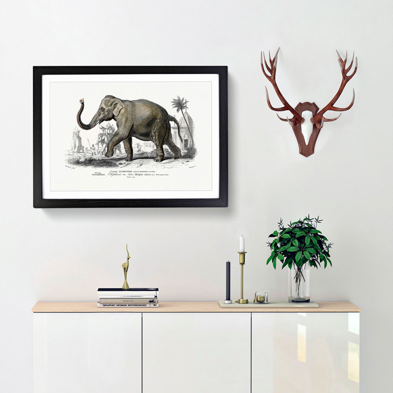 Asian Elephant by Charles D' Orbigny - Single Picture Frame Painting, Black, 33cm H x 45cm W x 2cm D