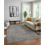 Ebru Area Rug in Gray-1394324174