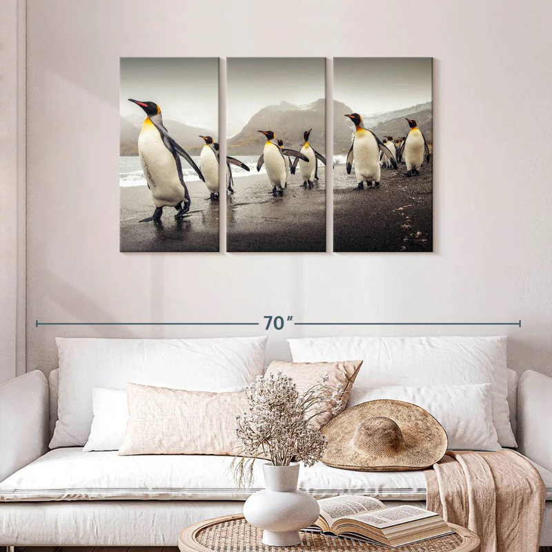 Pingouins bruns le long de la plage, H 24 po x l 38 po