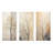 Beige Trees Oak Solitude - Tree Oak Metal Prints Set Of 3-799194526