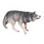 « call of the wild : statue loup gris growing »