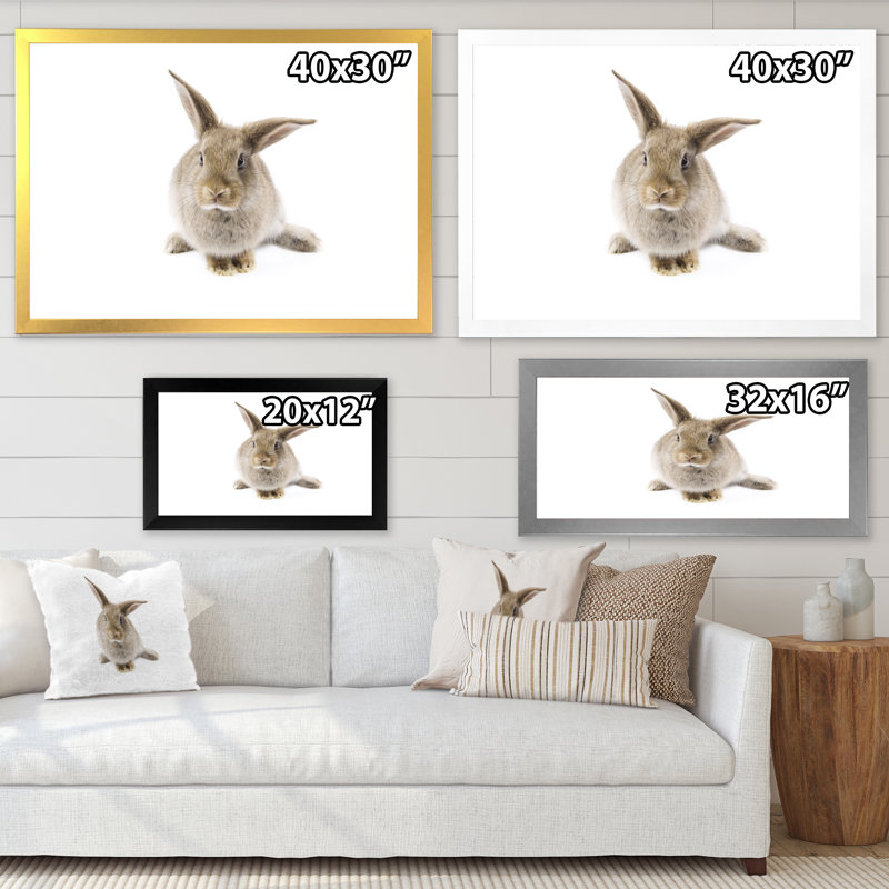 Lapin noir et blanc II - photographie sur toile, Cadre de coin blanc fermé, H 30 po x l 40 po x P 1,5 po