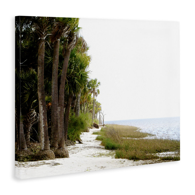 Art mural sur toile Palm Beach Path par Gail Peck, H 16 po x l 20 po