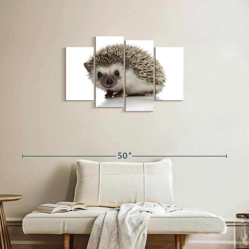 Brampt African Hedgehog, 22" H x 36" W