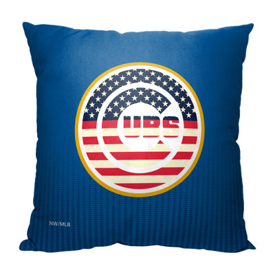 No Patern Indoor/Outdoor Pillow Cover