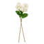 Lavender Stem-25636912
