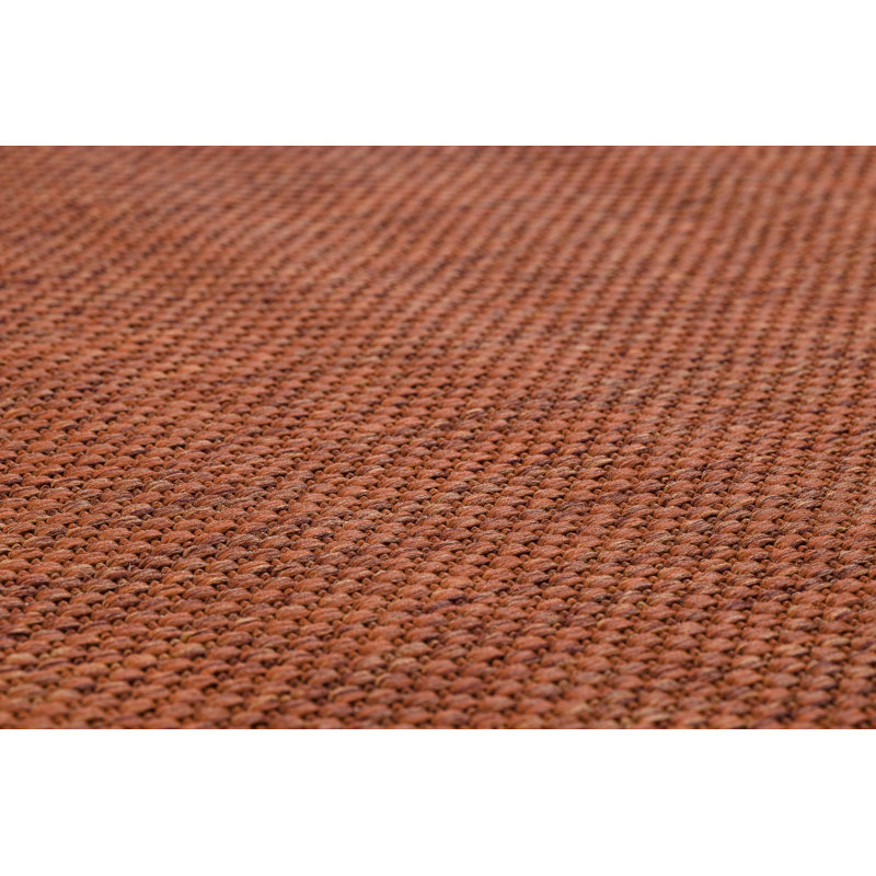 Ermias Solid Colour Indoor / Outdoor Area Rug, Rectangle 200 x 290cm