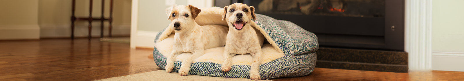 Snoozer Pet Products
