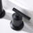 Widespread 2-handle Bathroom Faucet with Drain Assembly-61752828